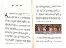 Il XIII: La Morte e il Raccolto - 3
