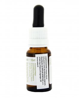 Illawarra Flame Tree - Essenza Floreale Australiana Singola - 2