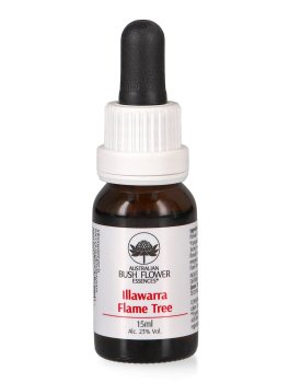 Illawarra Flame Tree - Essenza Floreale Australiana Singola - 1