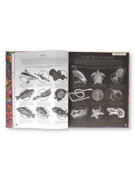 Illuminoceani — Libro/Gioco - 3