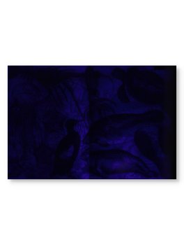 Illuminoceani — Libro/Gioco - 8