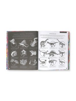 Illuminosauro — Libro/Gioco - 3