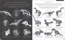 Illuminosauro — Libro/Gioco - 4