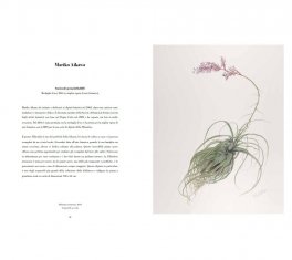 Illustrazione Botanica — Libro - 4