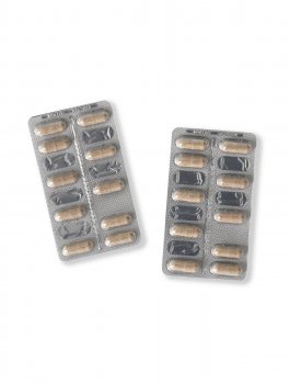 Immulene Forte - Integratore con CistoVir®, Echinacea, Zinco e Fermenti Lattici - 3