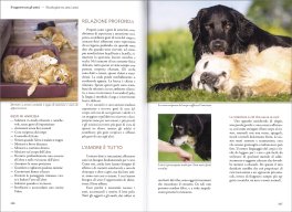 Imparare a Leggere i Cani — Libro - 3