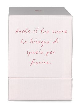 Imparare ad Amarsi - 2