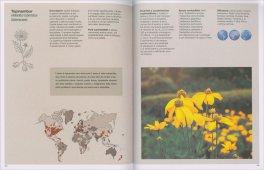 Imparare l'Arte del Foraging — Libro - 5