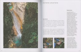 Imparare l'Arte del Foraging — Libro - 4