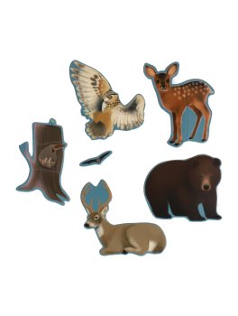 Imparo con i Magneti - Gli Animali Notturni - 4