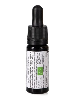 Impatiens - Dose - 2