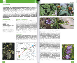 In Cerca dei Fiori — Libro - 3