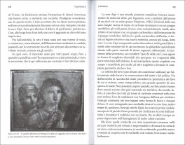 In Cerca delle Api — Libro - 3
