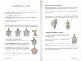 In Movimento Dopo la Nascita. Manuale per Neomamme e Operatori — Libro - 4