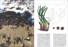 In Riva al Mare — Libro - 3