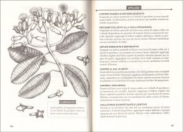 In Salute con Erbe e Spezie — Libro - 3