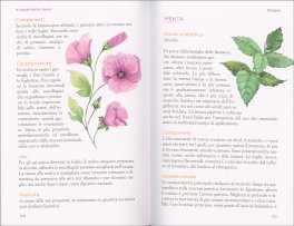 In Salute Tutto l'Anno — Libro - 3