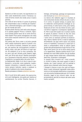 In Un Seme — Libro - 4