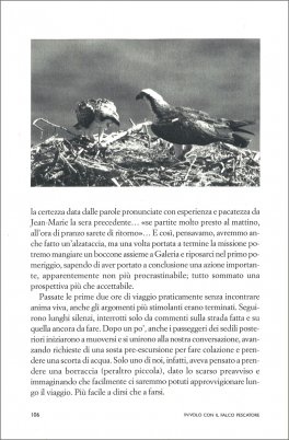 In Volo con il Falco Pescatore — Libro - 3