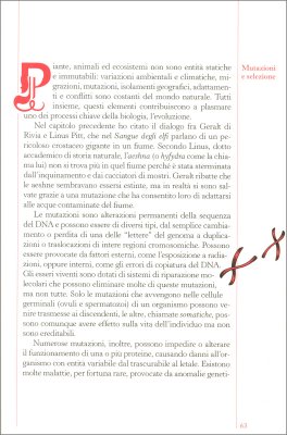 Incanto — Libro - 2
