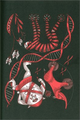 Incanto — Libro - 4
