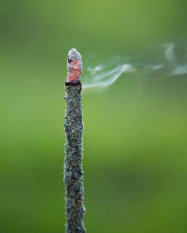 Incensi in Stick Patagonia - 4