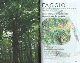 Incontri con lo Spirito degli Alberi — Libro - 3