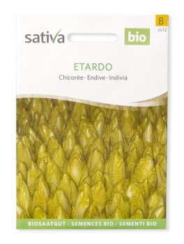 Semi di Indivia Etardo KS - 1