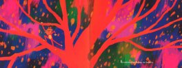 Indomabile — Libro - 3