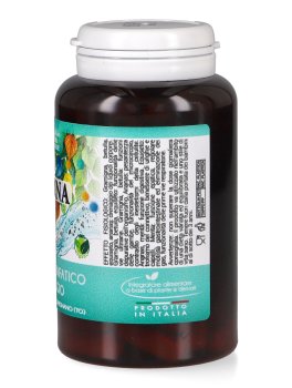 Indrena in Capsule - 2