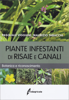 Piante Infestanti di Risaie e Canali — Libro - 1