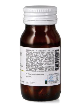 Influ-Gea - 3