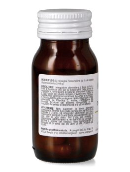 Influ-Gea - 2