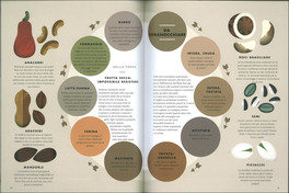 Infofood — Libro - 3