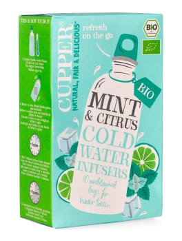 Infuso a Freddo Aromatizzato Biologico - 1