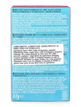 Infuso a Freddo Aromatizzato Biologico - 3