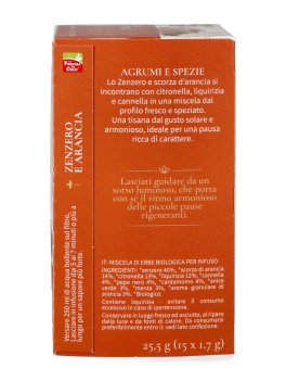 Infuso Biologico Zenzero e Arancia in Bustine - 2