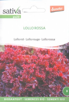 Semi di Insalata Lollo Rossa - 1
