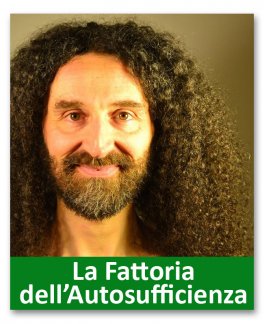 Insegna a tuo figlio la magia del bosco. Come educare i bambini a un utilizzo consapevole della potenza selvatica