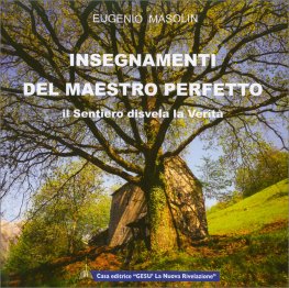 Insegnamenti del Maestro Perfetto — Libro - 1