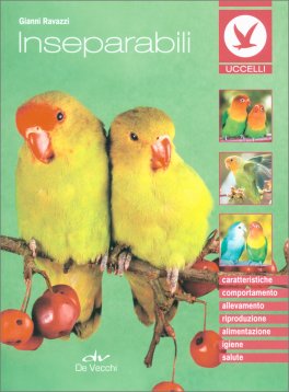 Inseparabili — Libro - 1