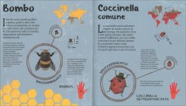 Insetti a Grandezza Naturale — Libro - 3