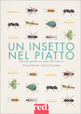 Un Insetto nel Piatto — Libro - 1