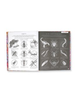 Insetti & Co. — Libro/Gioco - 3