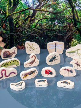 Insetti e Piccoli Animali Sagomati in Legno - 4