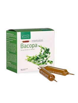 Integratore di Bacopa - 5