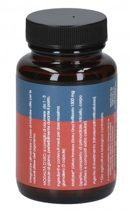 Integratore di Maitake 500 mg - 2