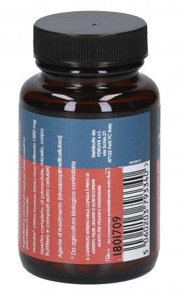 Integratore di Maitake 500 mg - 3