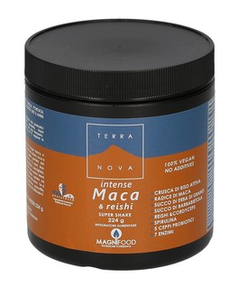Intense Maca e Reishi Super Shake - 1