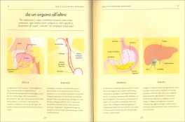 Intestino - Una Guida Consapevole — Libro - 3